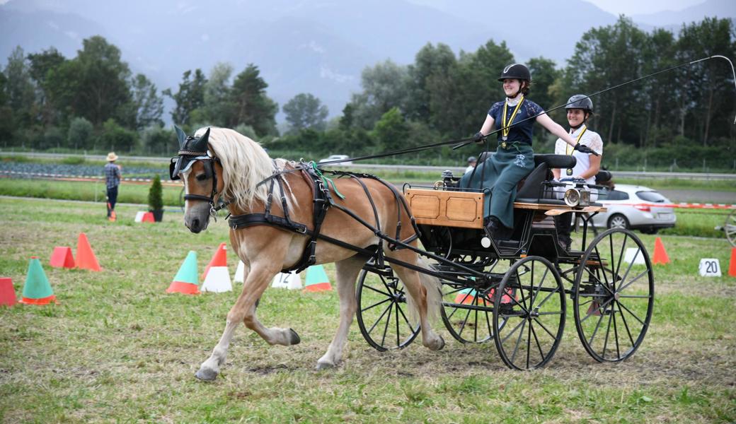 Laurina Bicker fuhr mit ihrer Stute Promilla zu Silber im OKV-Fahrchampionat der Junioren.