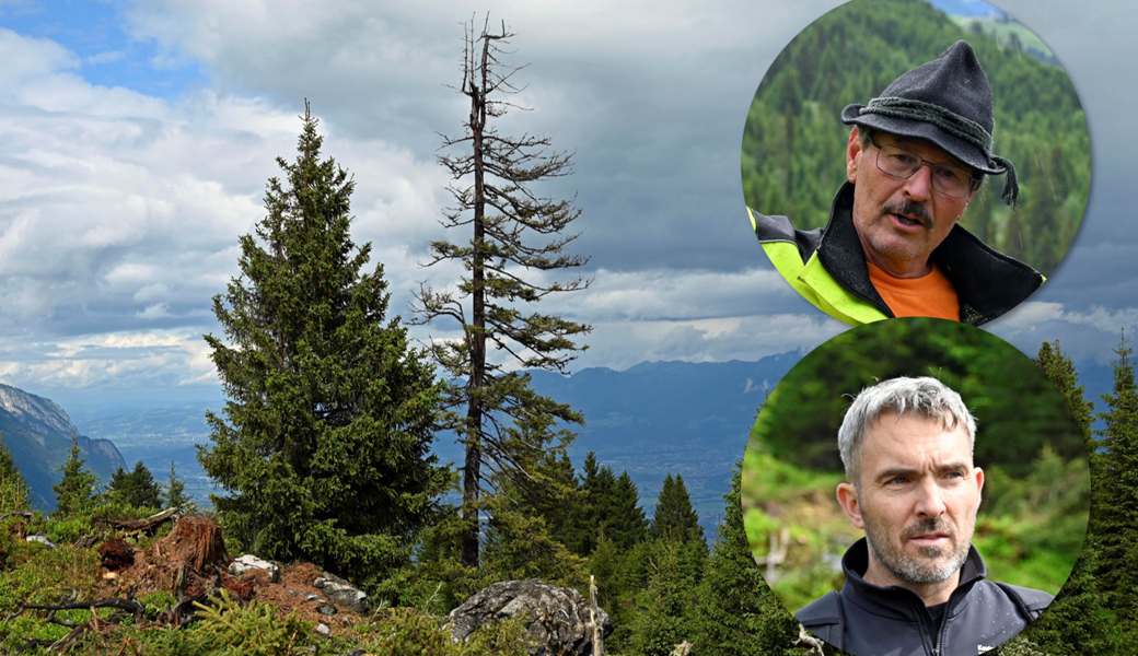 Revierförster Andreas Eggenberger (oben) und Regionalförster Philipp Näf gaben einen detaillierten Einblick ins Projekt.