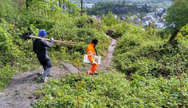 Wanderwege, Tafeln und Brücken erneuert