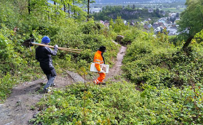Wanderwege, Tafeln und Brücken erneuert