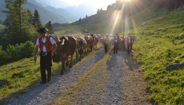 Mit Tracht und Schellen: Familie aus Starkenbach begibt sich auf Alp Selun