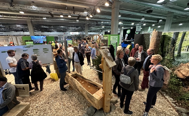 «Dahei» und «dähei» chancenlos gegen «dihei»