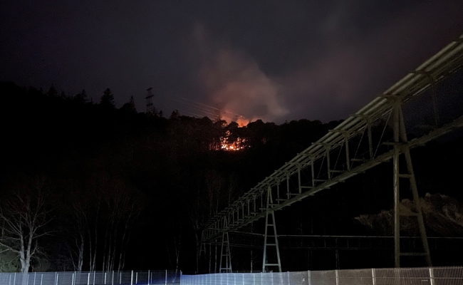 Marder verursacht Kurzschluss auf Hochspannungsmast