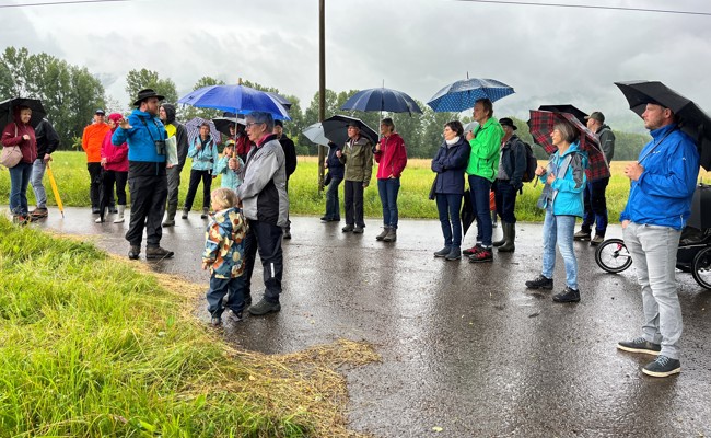 Hier sind Lebensräume für gefährdete Arten entstanden