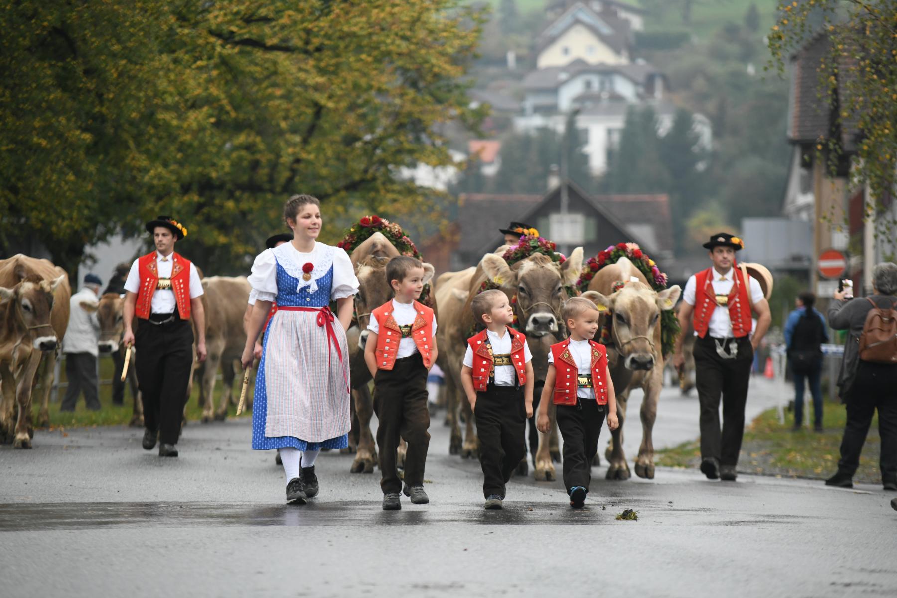 Hailey ist die schönste Kuh von Grabs, Gladiola die schönste vom Werdenberg
