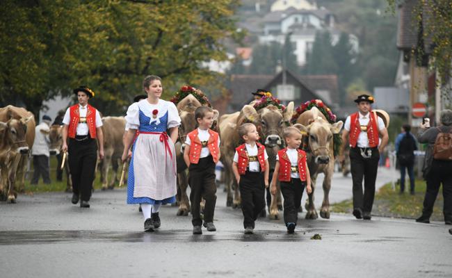 Hailey ist die schönste Kuh von Grabs, Gladiola die schönste vom Werdenberg