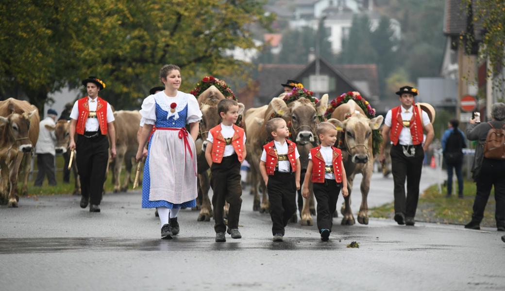 Hailey ist die schönste Kuh von Grabs, Gladiola die schönste vom Werdenberg