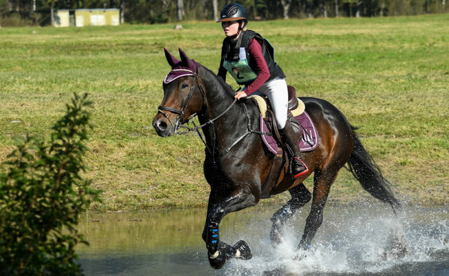 Gräben, Wälle und Wasser: Military-Spektakel auf der Kohlau