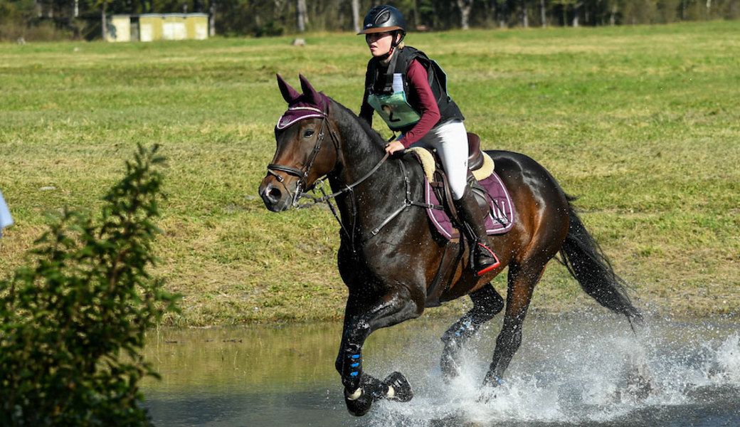 Am Wochenende wird auf der Kohlau in Weite die Vielseitigkeit der teilnehmenden Pferde geprüft.