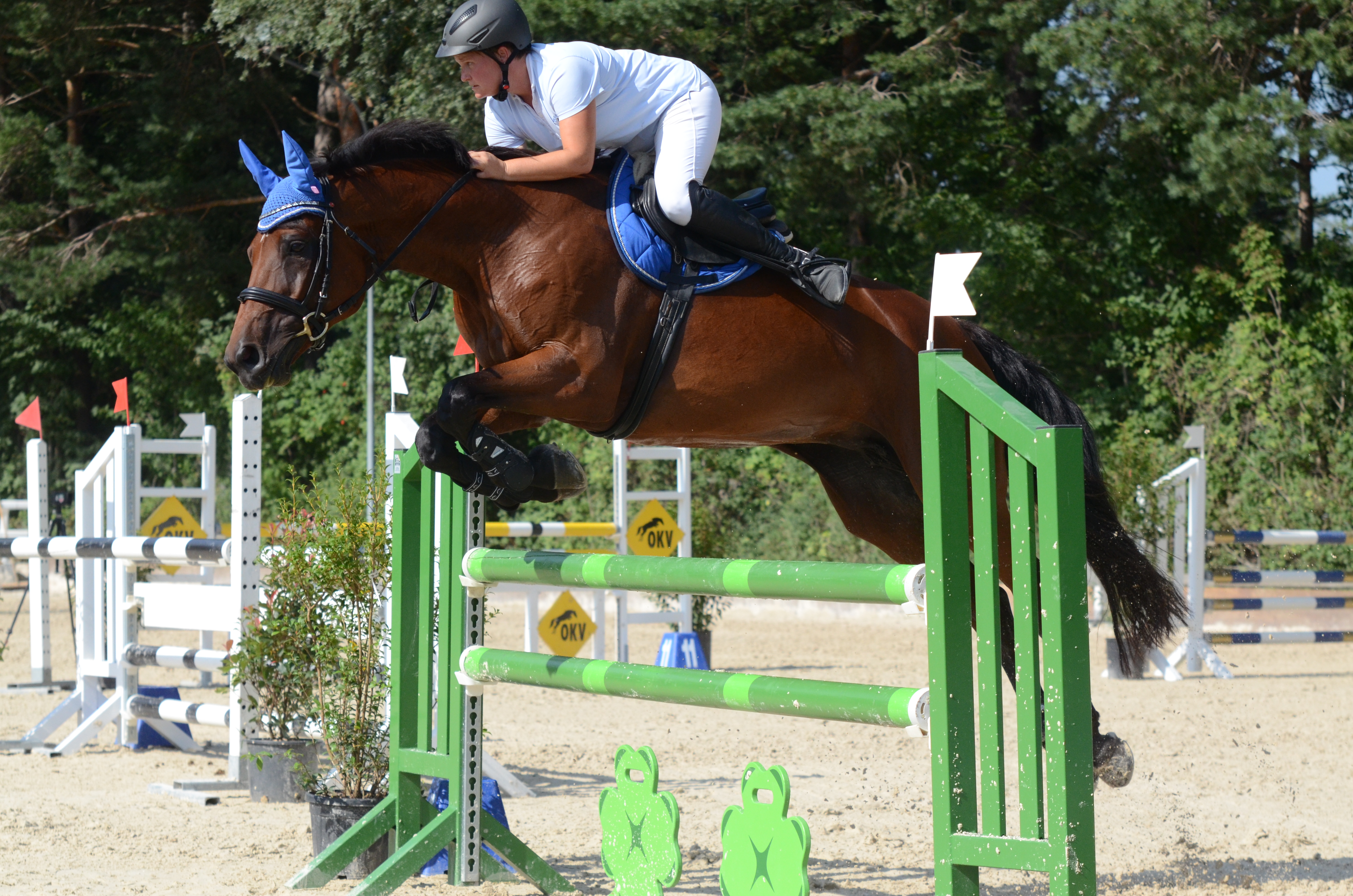 Zwei Fehler im Stechparcours für den Reitverein Werdenberg