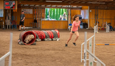 Sechs Beine, ein Ziel: Mensch und Hund im perfekten Zusammenspiel