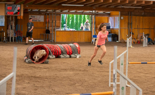 Sechs Beine, ein Ziel: Mensch und Hund im perfekten Zusammenspiel