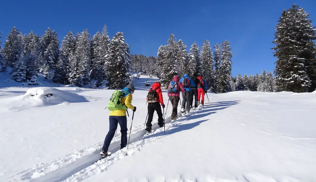 Mit Profis durchs die Region: Sechs Wanderleiter und Bergführer erleichtern den Zugang zu geführten Touren