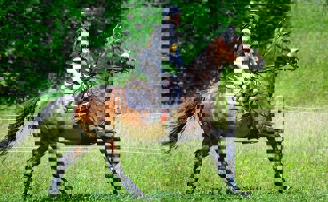 «Das Gelände ist unsere liebste Disziplin»: Sina Schett reitet auf Rang vier im Concours Complet