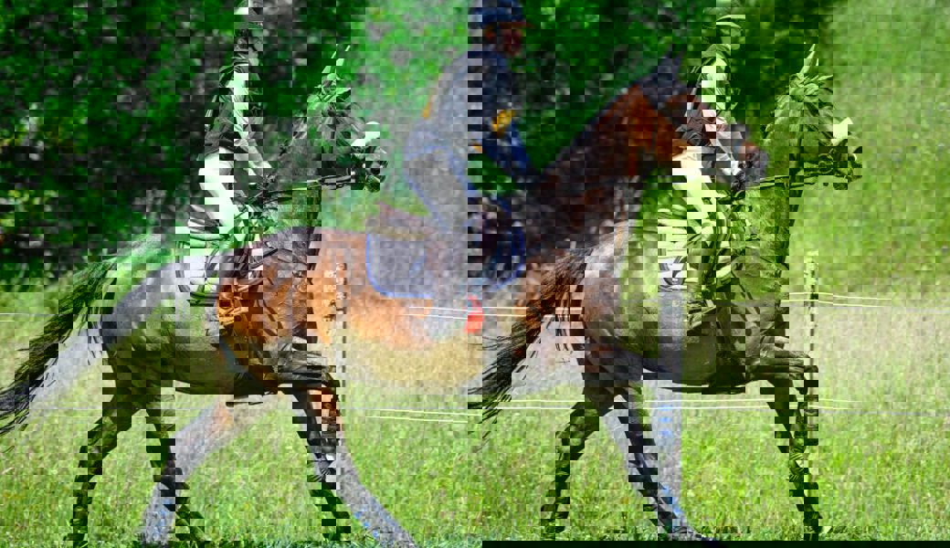  Sina Schett und Cayetana in Bülach. 