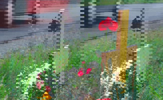 Keine Erinnerung an den Unfall: Autofahrer trägt trotzdem Schuld am Tod seiner Freundin