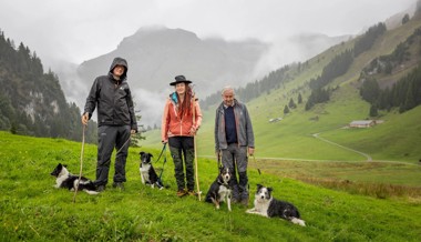 Kein Wolfsriss, trotzdem neun tote Schafe am Wildhuser Schofberg