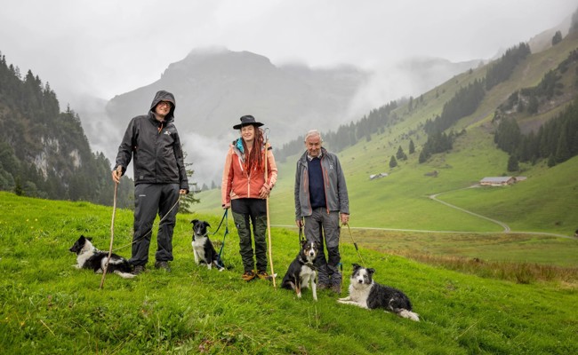 Kein Wolfsriss, trotzdem neun tote Schafe am Wildhuser Schofberg