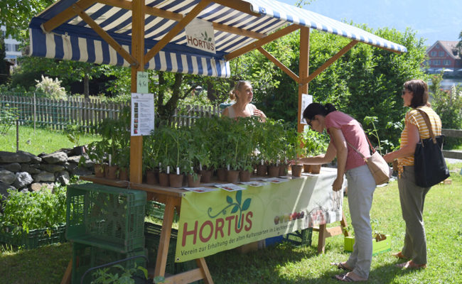 Vielzahl von Spezialitäten-Setzlingen wurden beim Schlangenhaus angeboten