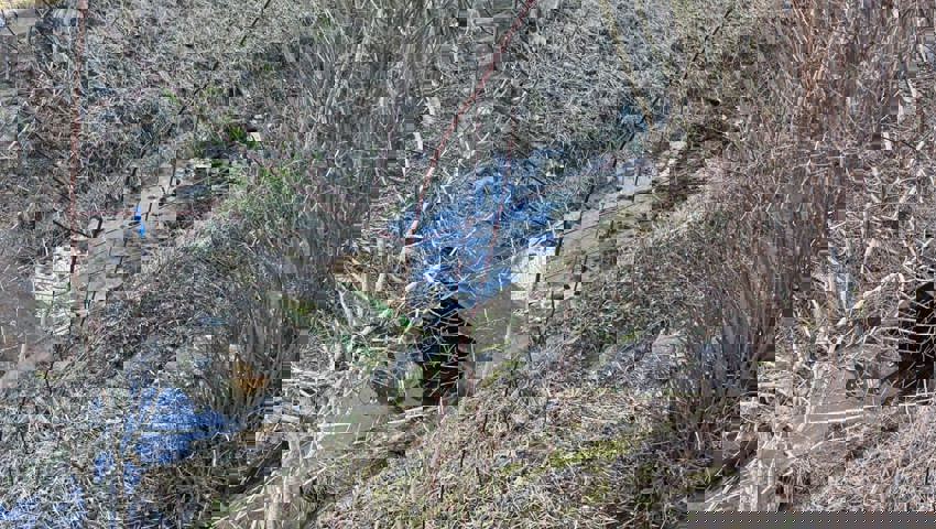  Für Fische wird es eng: Es fehlen tiefe Stellen oder Rückzugsräume. 