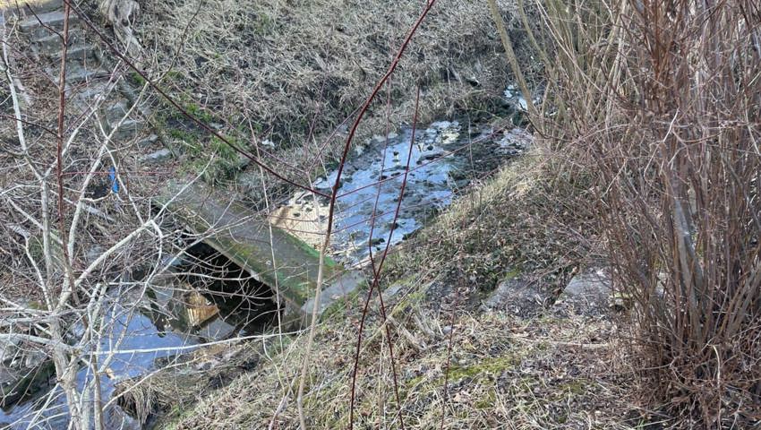  Für Fische wird es eng: Es fehlen tiefe Stellen oder Rückzugsräume. 