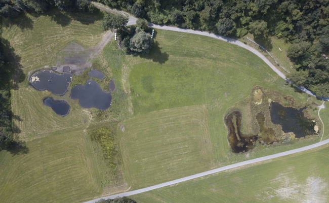 Neue Heimat für bedrohte Tierarten geschaffen