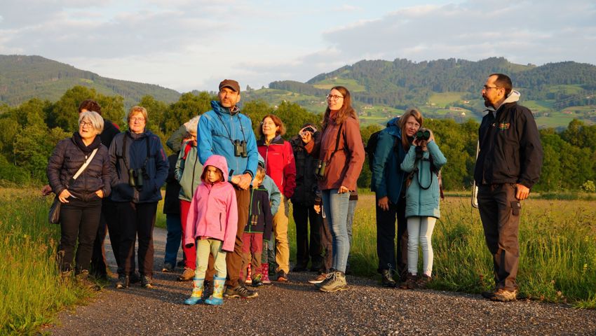 60 Naturinteressierte folgten bei Sonnenaufgang den Spuren der Biberfamilie und entdeckten das Schollenriet.
