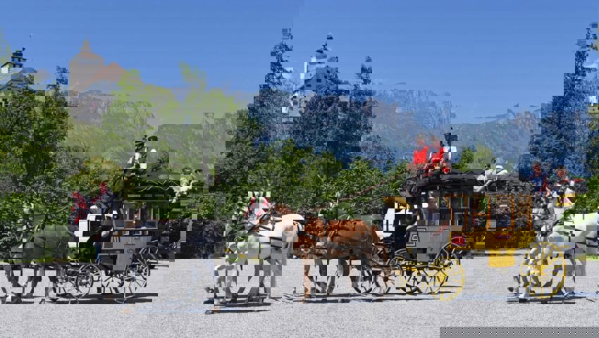  Die historische Postkutsche der Familie Scherrer wird von vier Lipizzanern und einem Freiberger gezogen. 