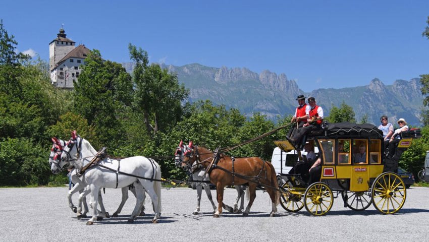  Die historische Postkutsche der Familie Scherrer wird von vier Lipizzanern und einem Freiberger gezogen. 