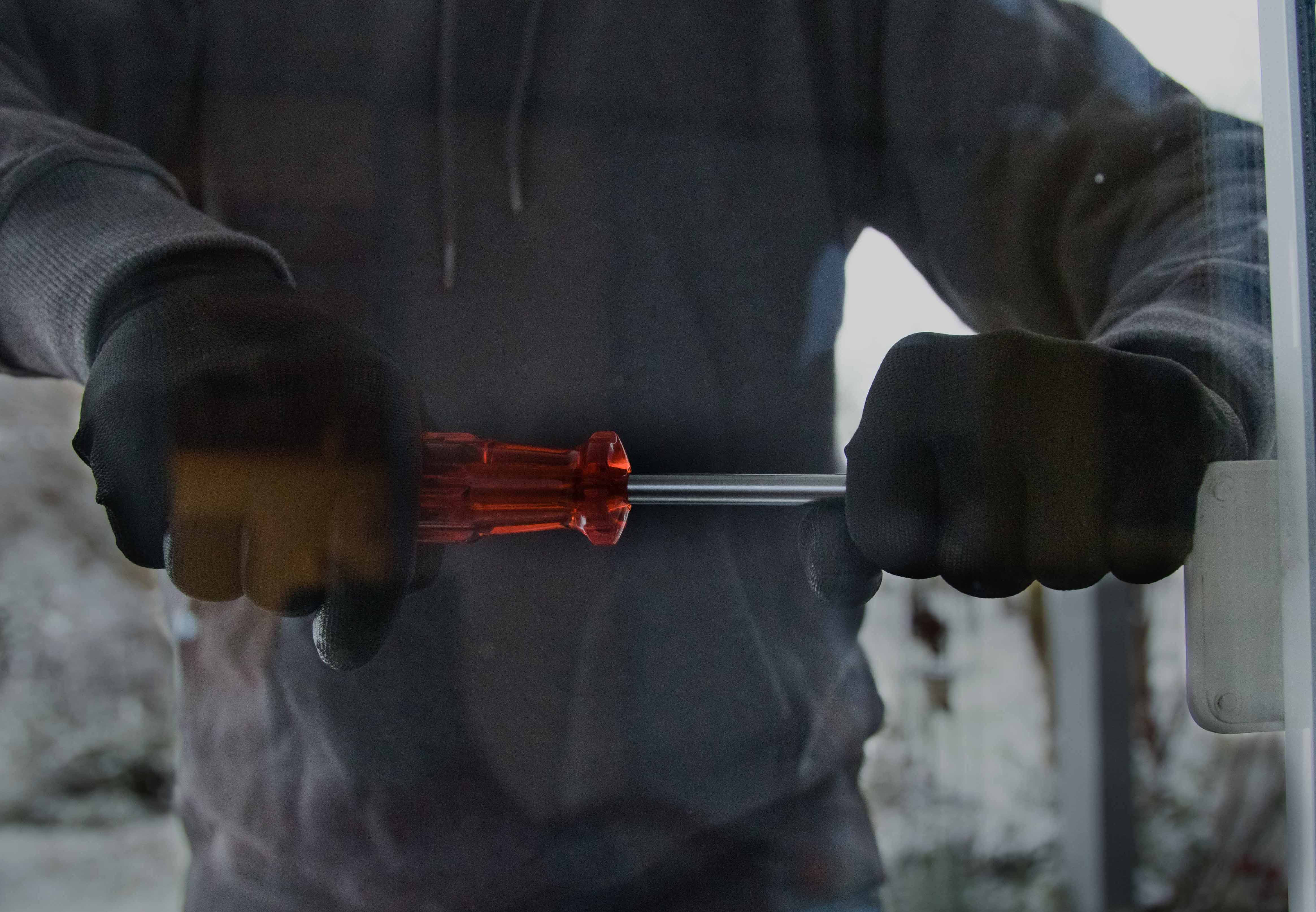 In zwölf Schrebergartenhäuser eingebrochen