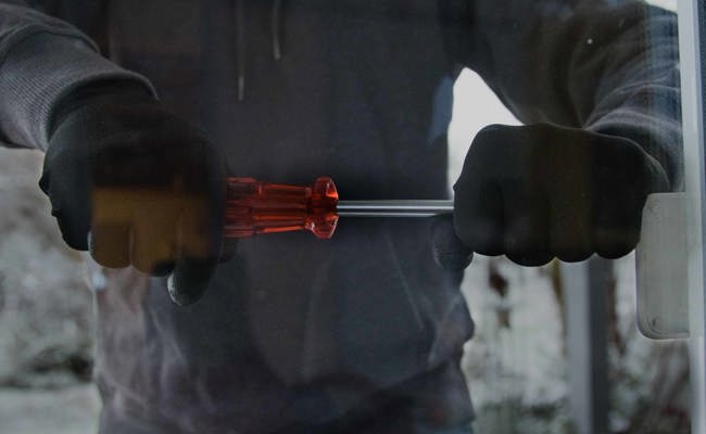 Mehr Grenz- und Polizeikontrollen gefordert