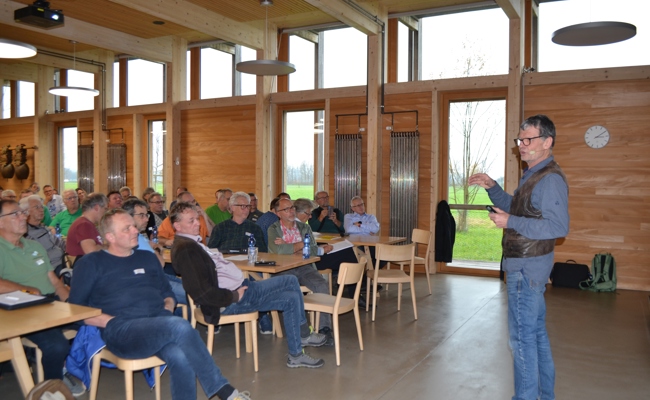 Qualitativ einwandfreier Honig im Fokus