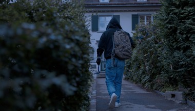 Tatort Schrebergarten: Einbruch in sechs Häuschen
