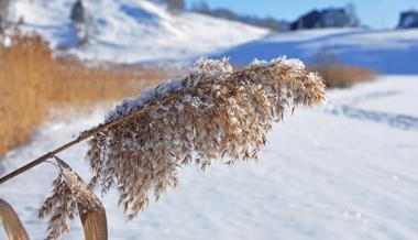 Es ist Winter geworden in den letzten Tagen – endlich!
