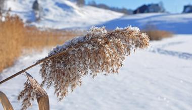 Es ist Winter geworden in den letzten Tagen – endlich!