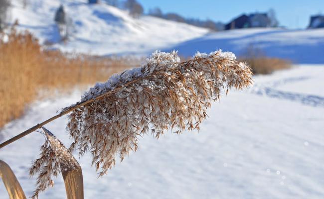 Es ist Winter geworden in den letzten Tagen – endlich!