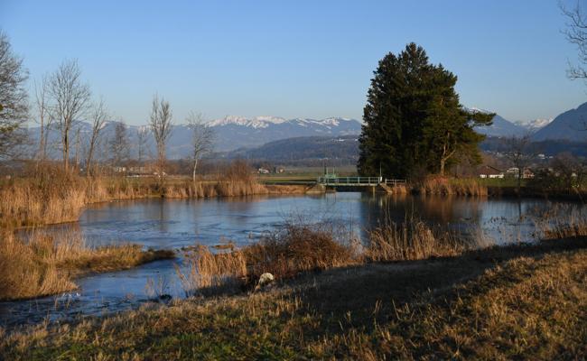 Bürgerversammlung gibt grünes Licht für Millionenprojekte
