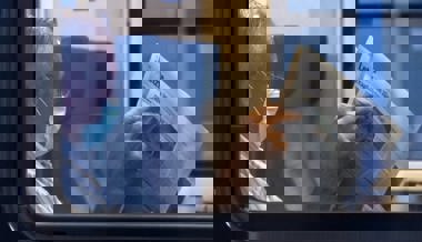 Altstätten: Hohe Rechnung für den nicht am Kreisgericht erschienenen Maskengegner