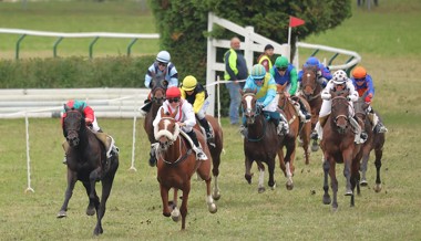 Action auf dem Rossriet: Ein Erlebnis für Gross und Klein