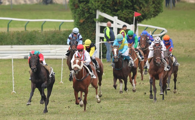 Action auf dem Rossriet: Ein Erlebnis für Gross und Klein