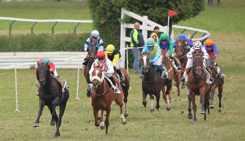 An zwei Sonntagen gibt es auf dem Rossriet in Maienfeld mehrere spannende Rennen zu sehen.
