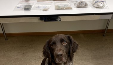 Heroin im Gepäck: Drogenkurier geschnappt