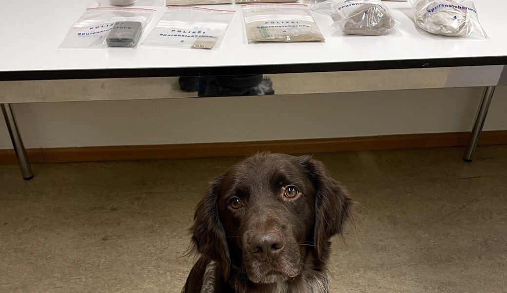 Heroin im Gepäck: Drogenkurier geschnappt Heroin im Gepäck: Drogenkurier geschnappt