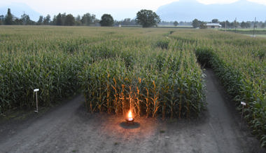 Abenteuer für alle: Vierte Mais-Labyrinth-Saison startet am Freitag