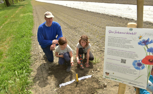 Forschungsprojekt von Agroscope Zürich: Unterhosen werden als Beweisstück verwendet