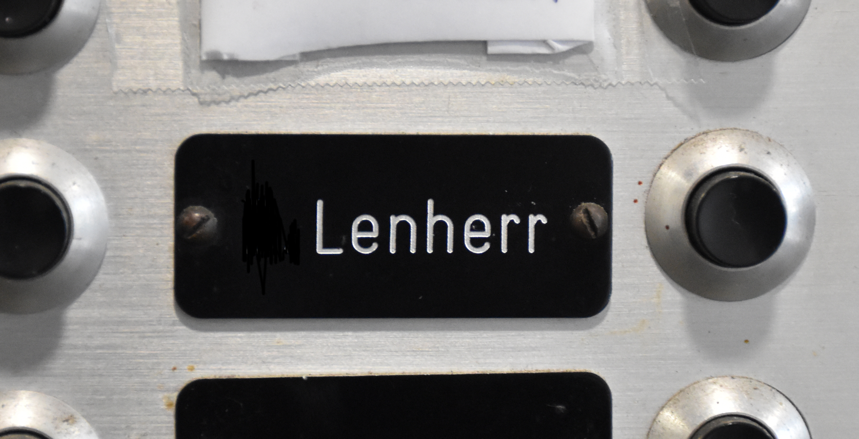 Von Tinner über Lenherr bis Gabathuler: So heissen die Werdenberger und Obertoggenburger