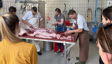 Lebensmittel produzieren: Hotelfachstudierende besuchen Gemüsefeld und Schlachtanlage