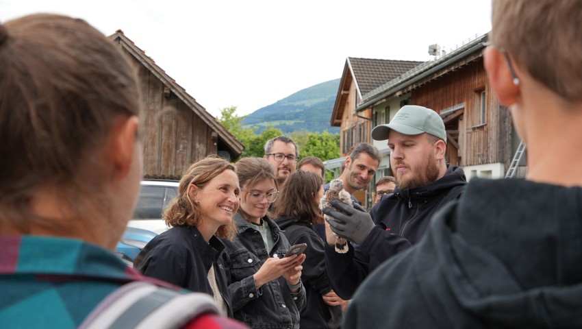Ein junger Falke wird aus nächster Nähe bewundert.