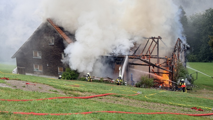 Die Feuerwehr musste Transportleitungen zum Brandherd einrichten.