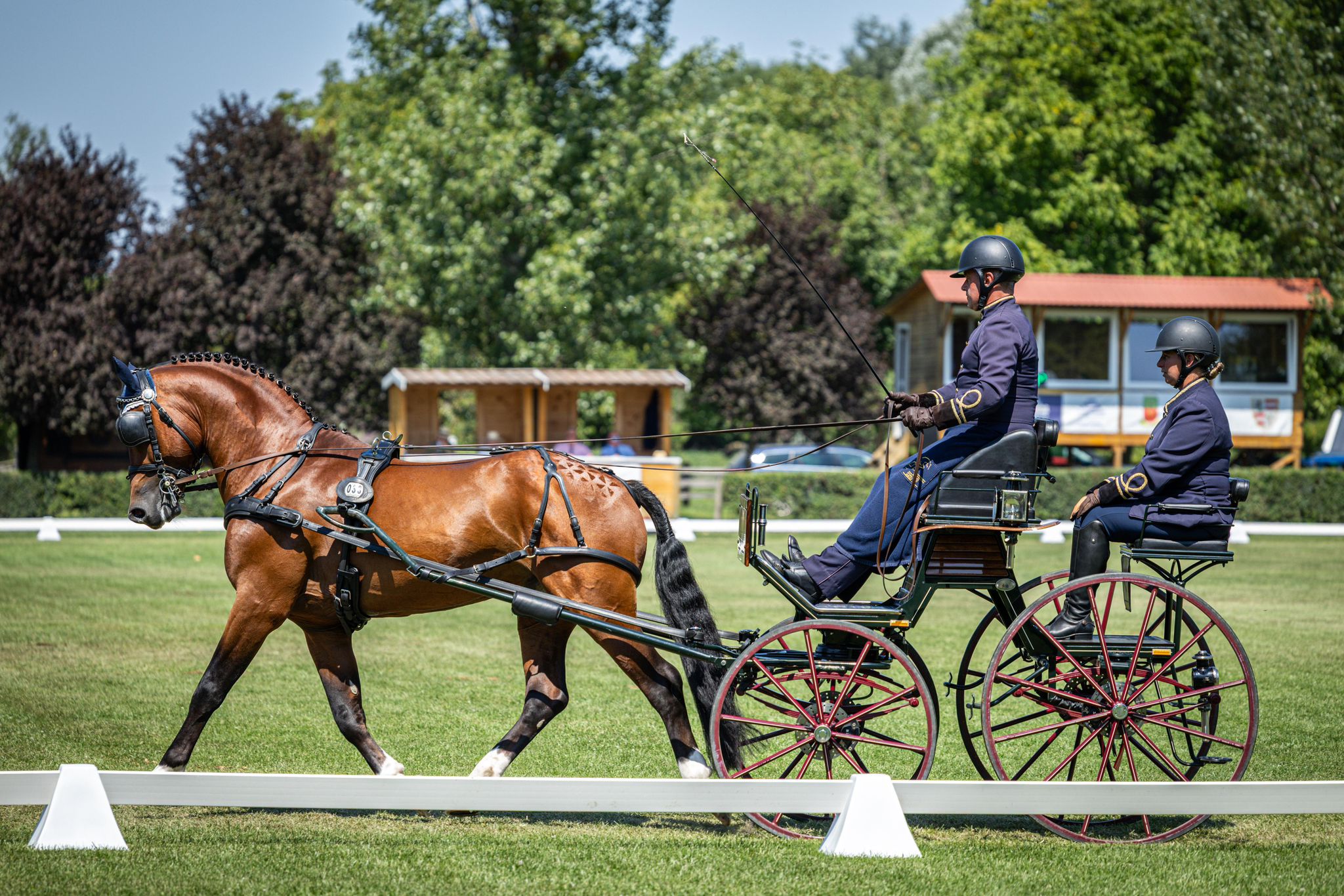 Leo Risch gewinnt Bronze an WM der jungen Pferde